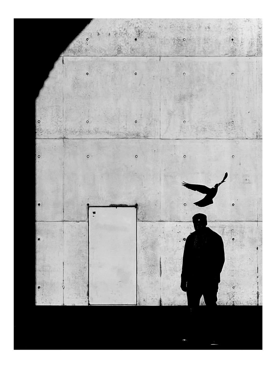 Post 9 by Nima Kashi on Instagram (image)