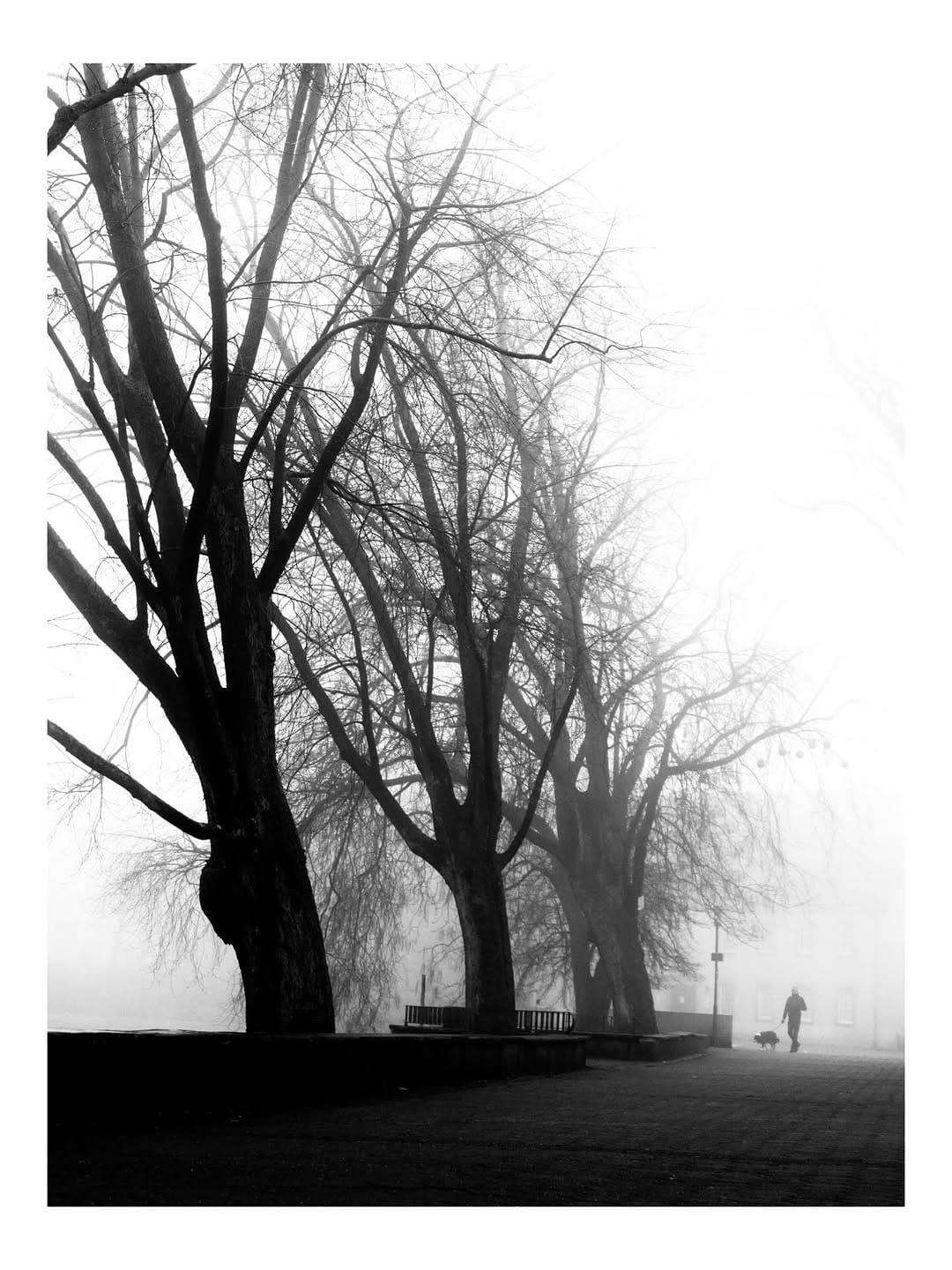 Post 5 by Nima Kashi on Instagram (image)