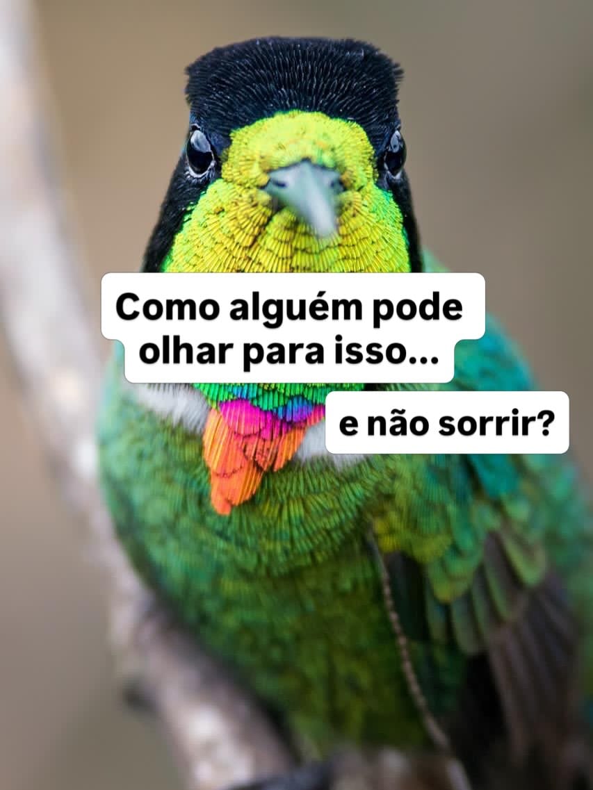 Post 3 by Thiago Tolêdo- IBFN 🇧🇷 on Instagram (carousel)