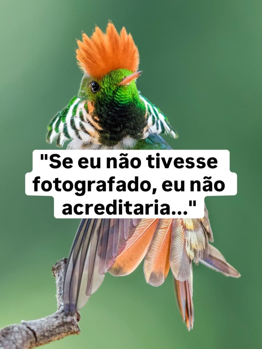 Post 8 by Thiago Tolêdo- IBFN 🇧🇷 on Instagram (carousel)