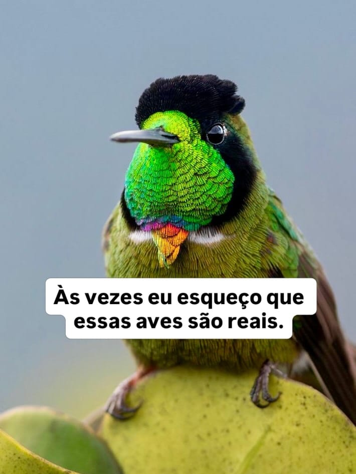 Post 7 by Thiago Tolêdo- IBFN 🇧🇷 on Instagram (carousel)