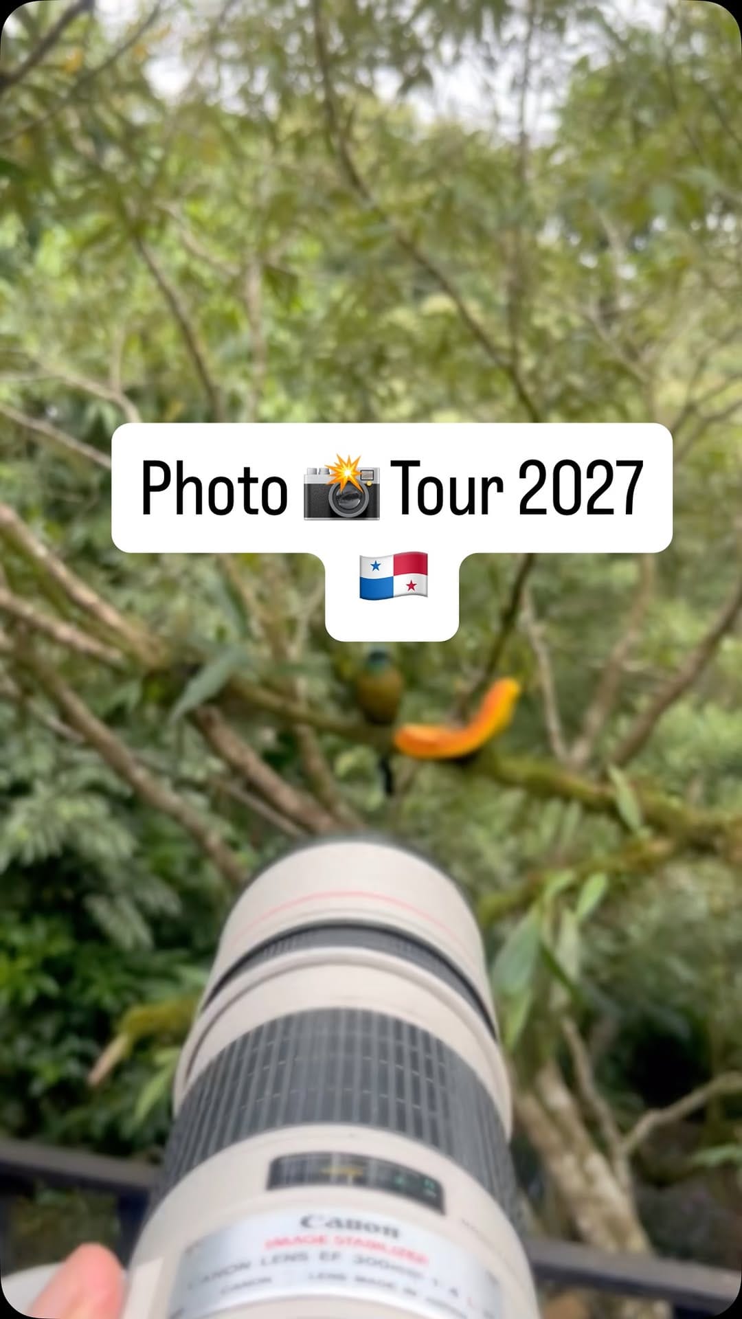 Post 5 by Thiago Tolêdo- IBFN 🇧🇷 on Instagram (video)