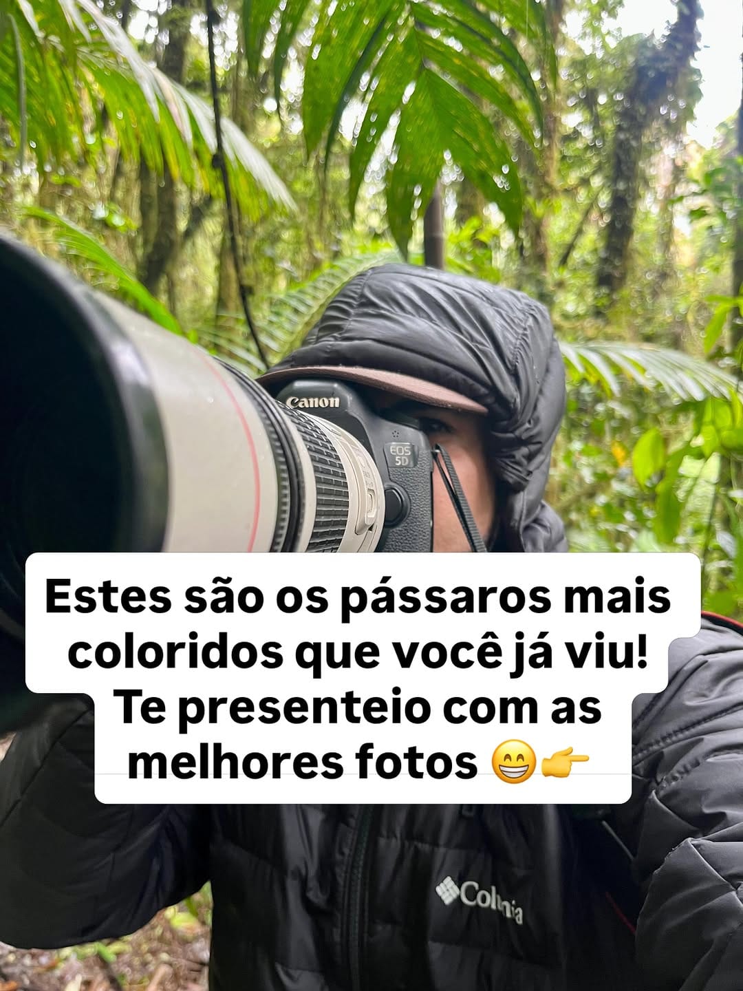 Post 2 by Thiago Tolêdo- IBFN 🇧🇷 on Instagram (carousel)