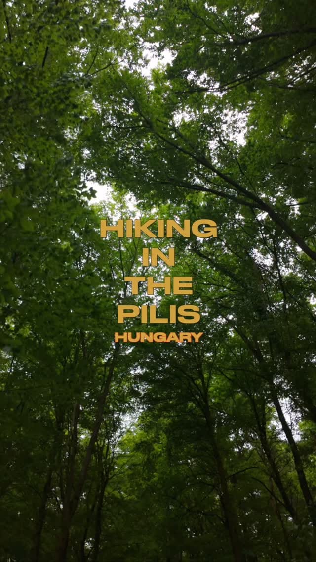 Post 6 by E m ő k e  B a r á t h on Instagram (video)
