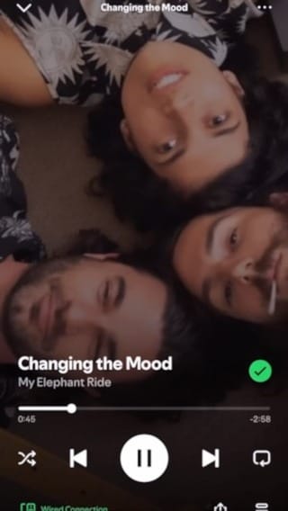 Post 9 by My Elephant Ride on Instagram (video)