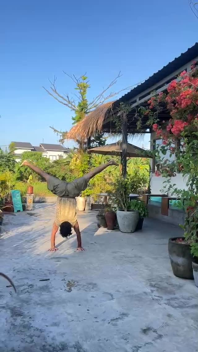 Post 4 by My Elephant Ride on Instagram (video)