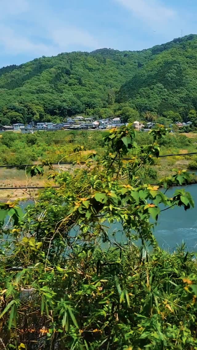 Post 4 by 𝐑𝐘𝐎𝐆𝐀 𝐓𝐀𝐍𝐈𝐌𝐎𝐓𝐎 /谷本怜雅　　　　　🇯🇵BMX🇯🇵 on Instagram (video)