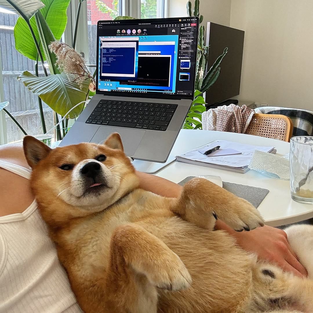 Post 8 by Kobe on Instagram (image)