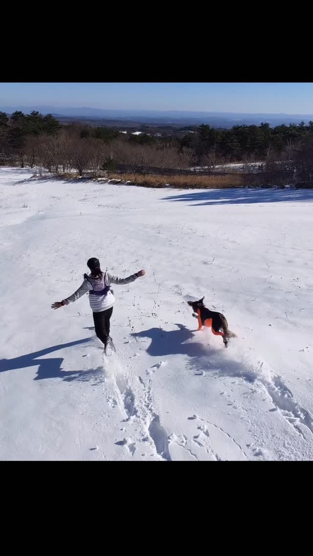 Post 7 by saho🌼ランニングアドバイザーtriathlon on Instagram (video)