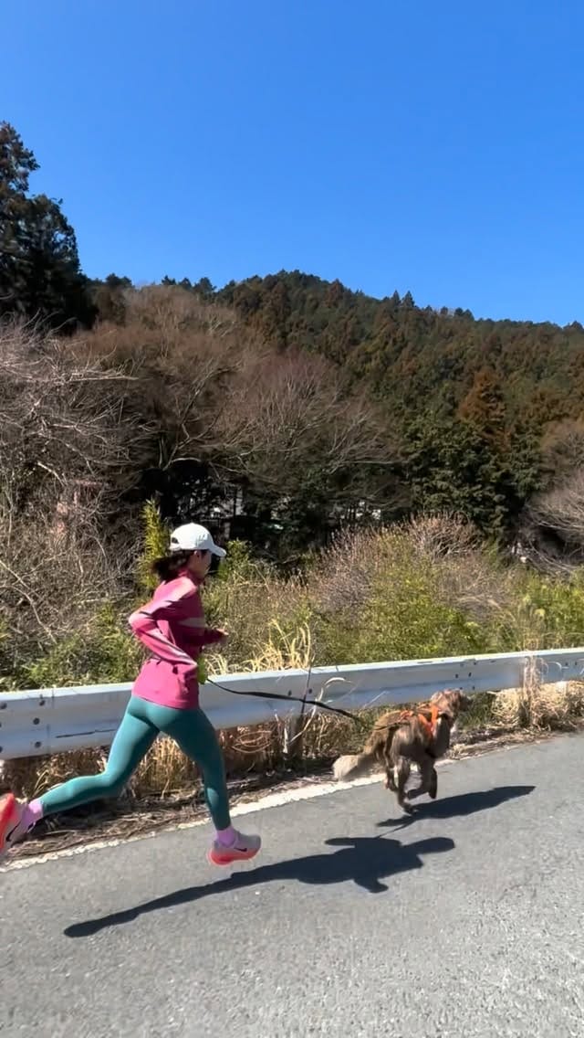 Post 3 by saho🌼ランニングアドバイザーtriathlon on Instagram (video)