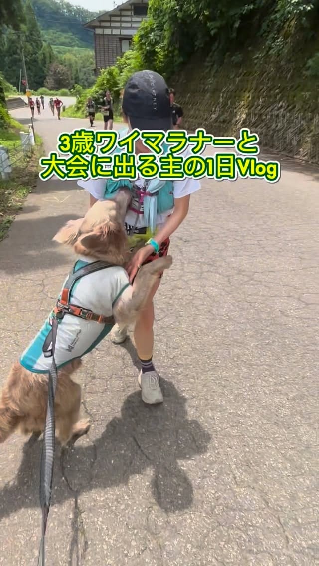 Post 1 by saho🌼ランニングアドバイザーtriathlon on Instagram (video)