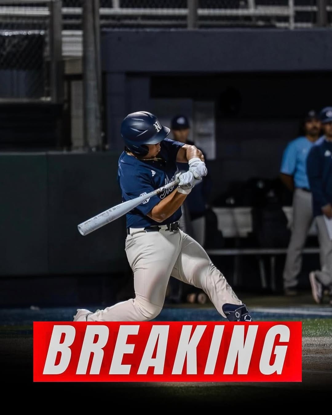 Post 5 by ‼️Sean Yamaguchi ‼️ on Instagram (image)