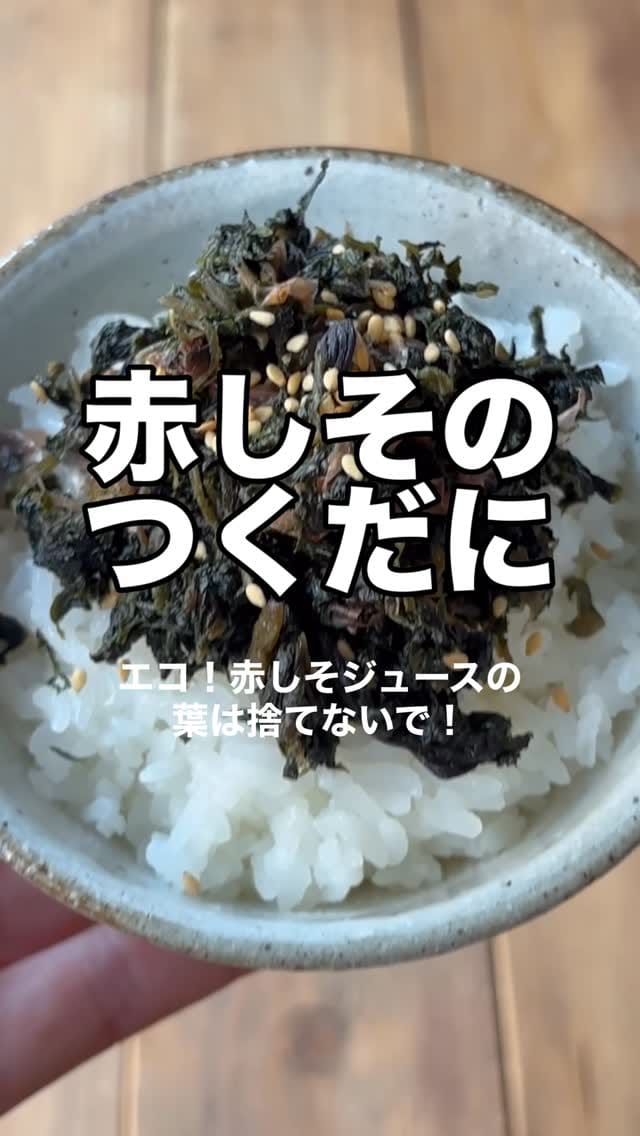 Post 5 by 梅ミッキー on Instagram (video)