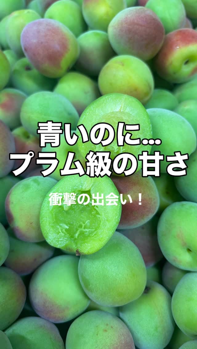 Post 2 by 梅ミッキー on Instagram (video)
