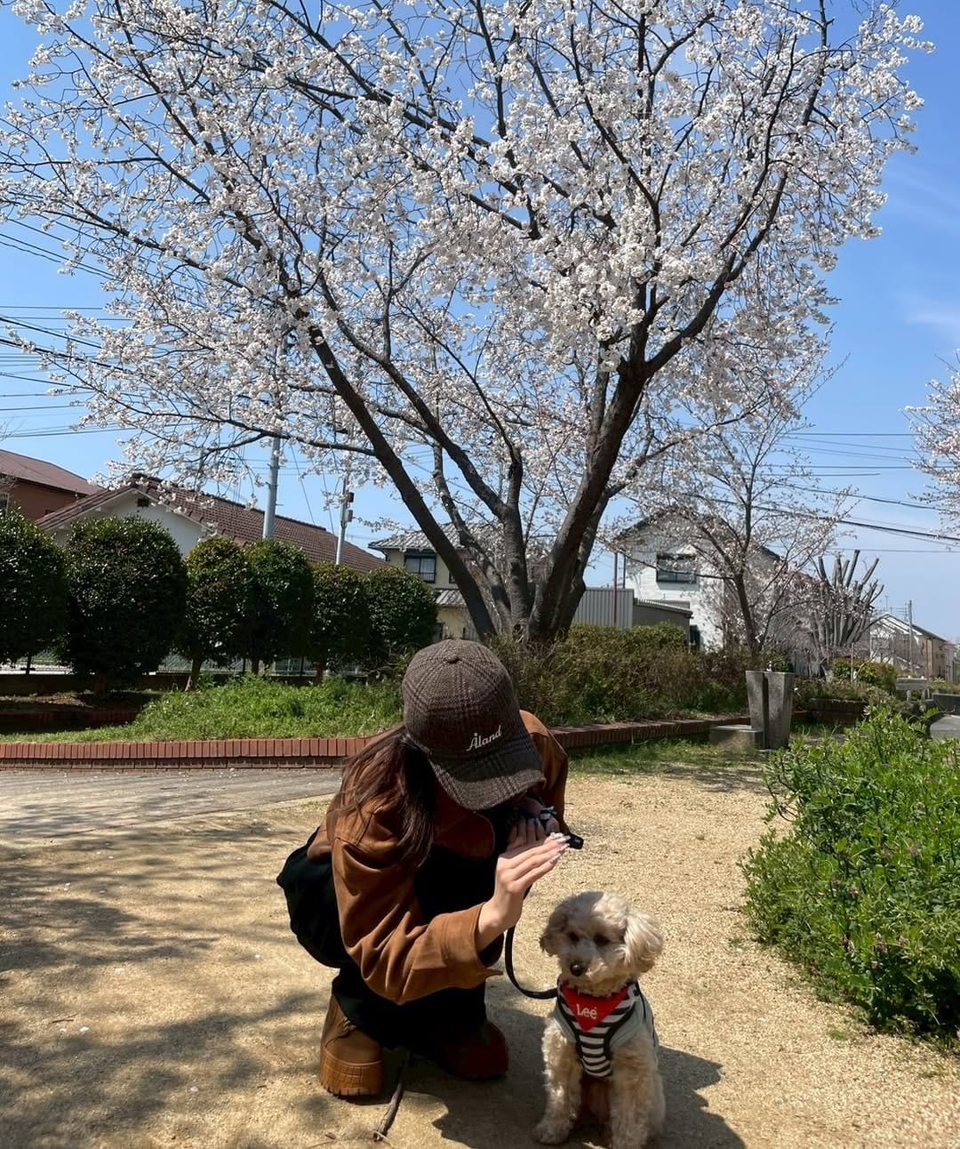 Post 4 by 山口 永愛 (20) on Instagram (carousel)