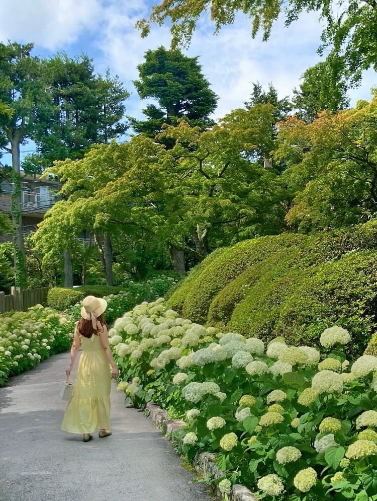 Post 3 by 🌸Emi🌸 アフタヌーンティー&お花めぐり＆国内旅行 on Instagram (carousel)