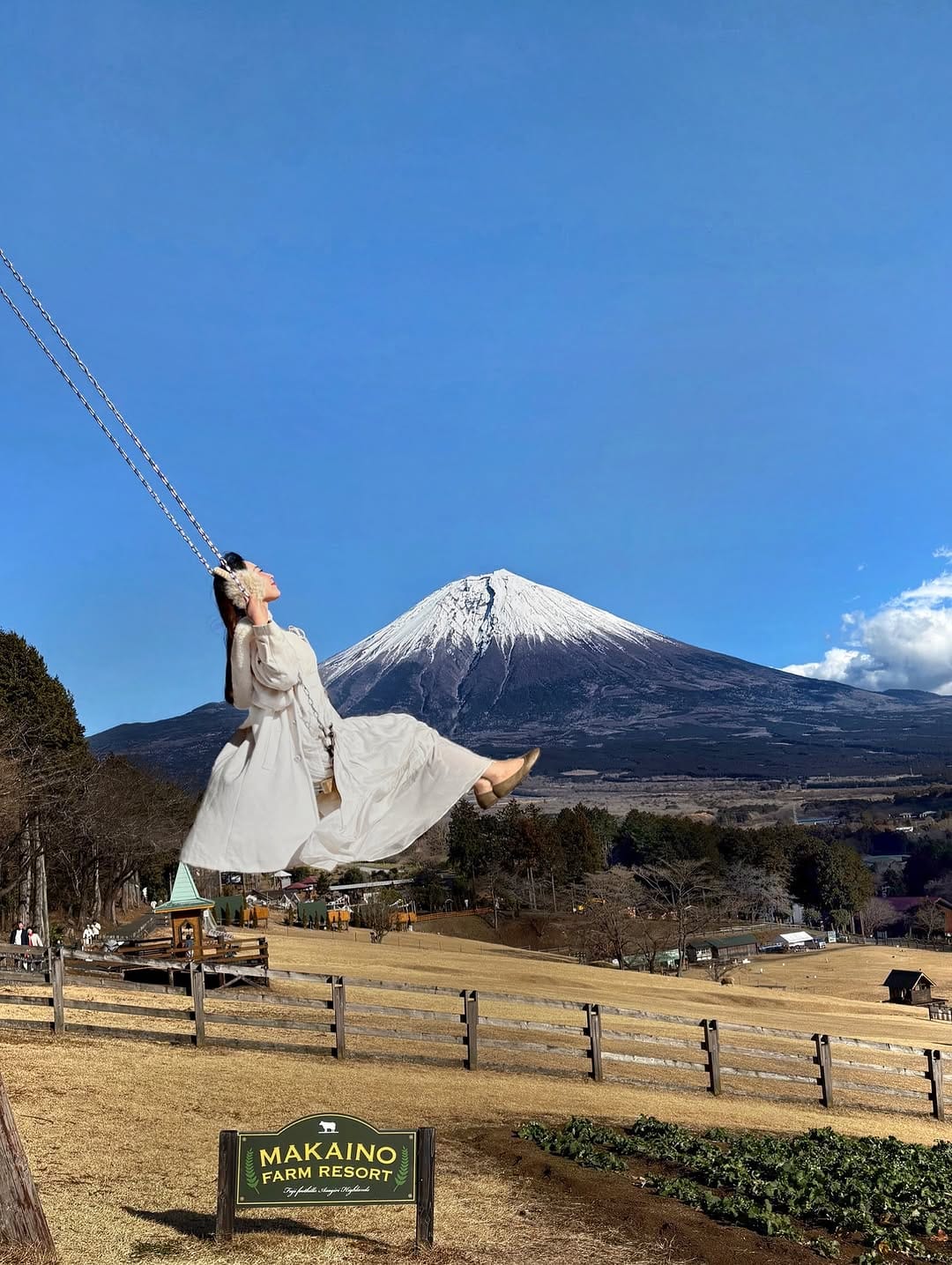 Post 10 by 🌸Emi🌸 アフタヌーンティー&お花めぐり＆国内旅行 on Instagram (carousel)