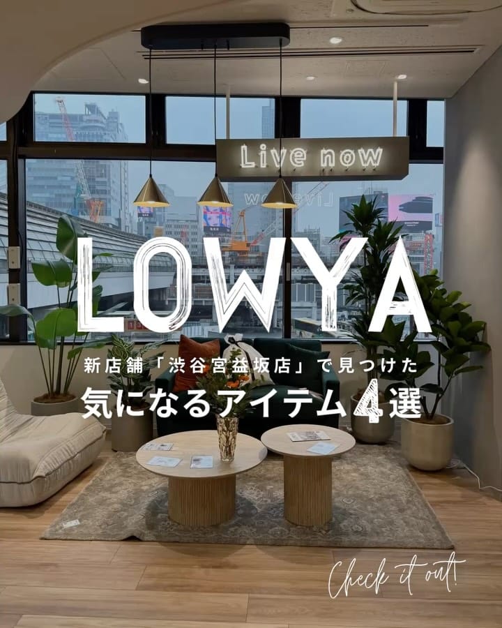 Post 8 by m i k k o ｜ 植物と日常のあれこれ on Instagram (carousel)