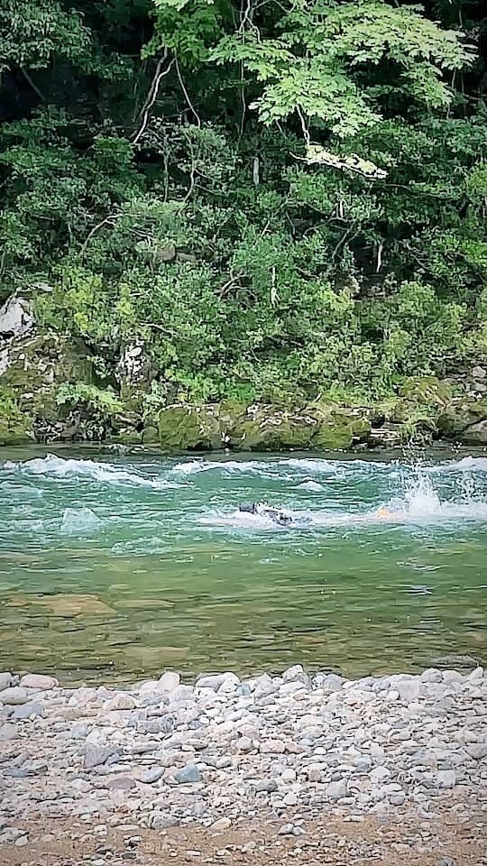 Post 9 by Jun on Instagram (video)