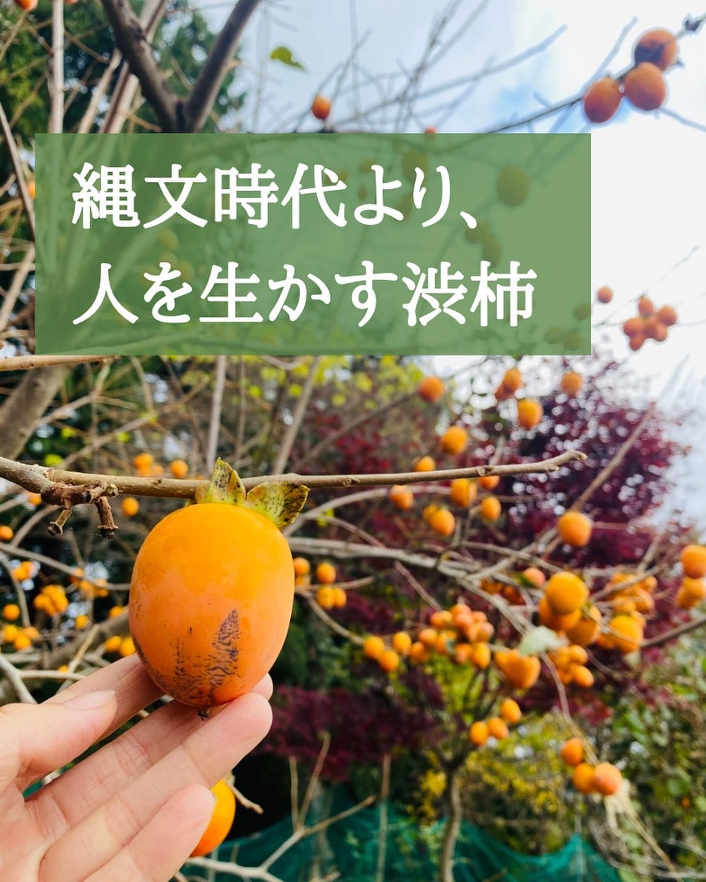 Post 5 by 田村ゆに|0円生活研究家 on Instagram (image)