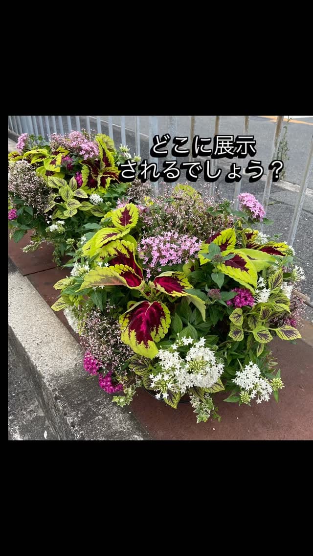 Post 3 by feel on Instagram (video)