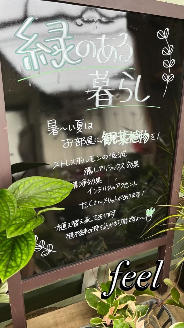 Post 6 by feel on Instagram (video)