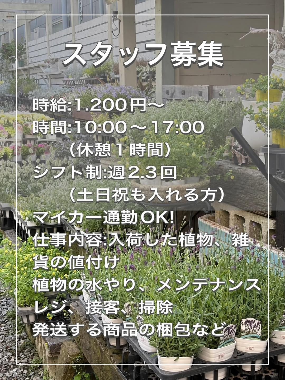 Post 4 by feel on Instagram (image)