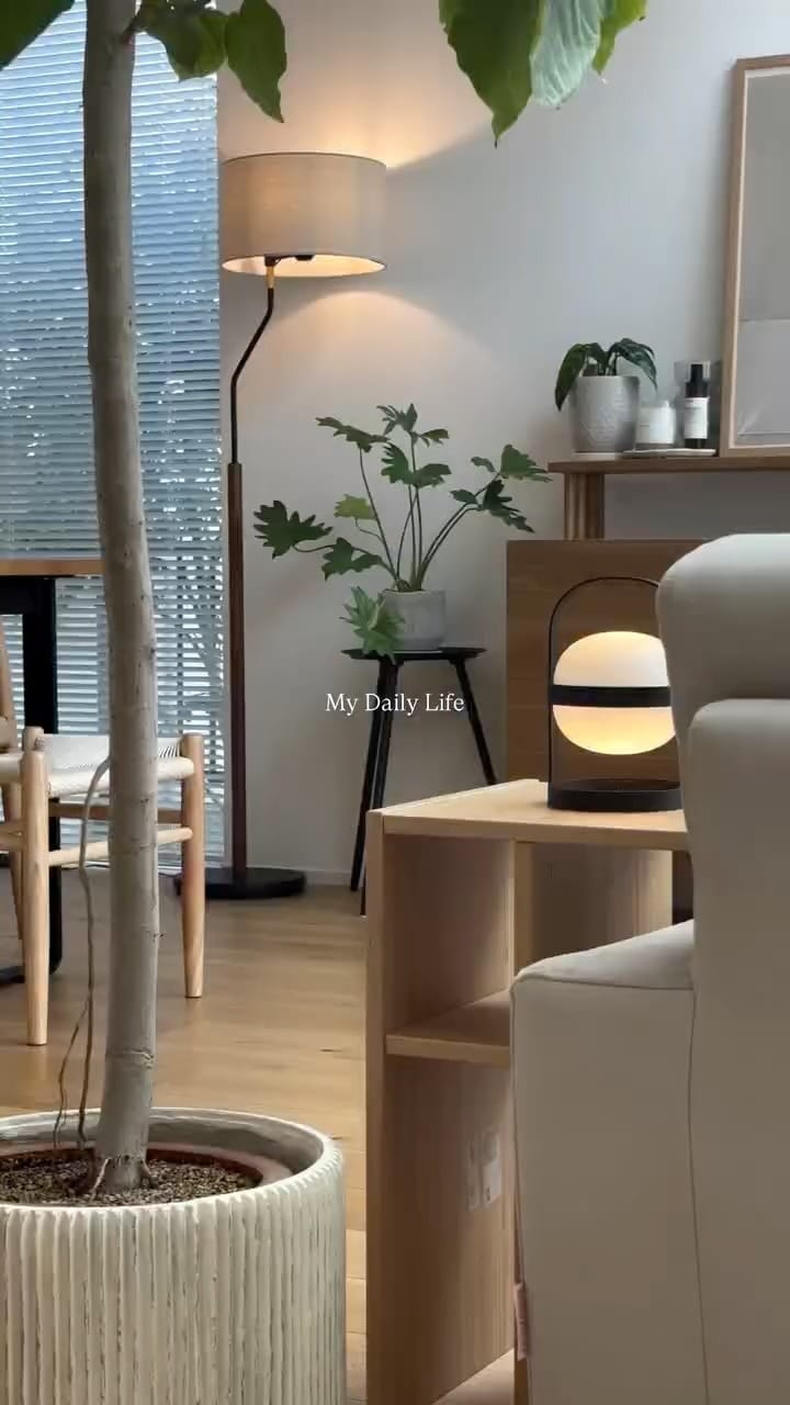 Post 5 by 𝖺𝗒𝖺𝗇𝖺  − 植物と照明と暮らす− on Instagram (video)