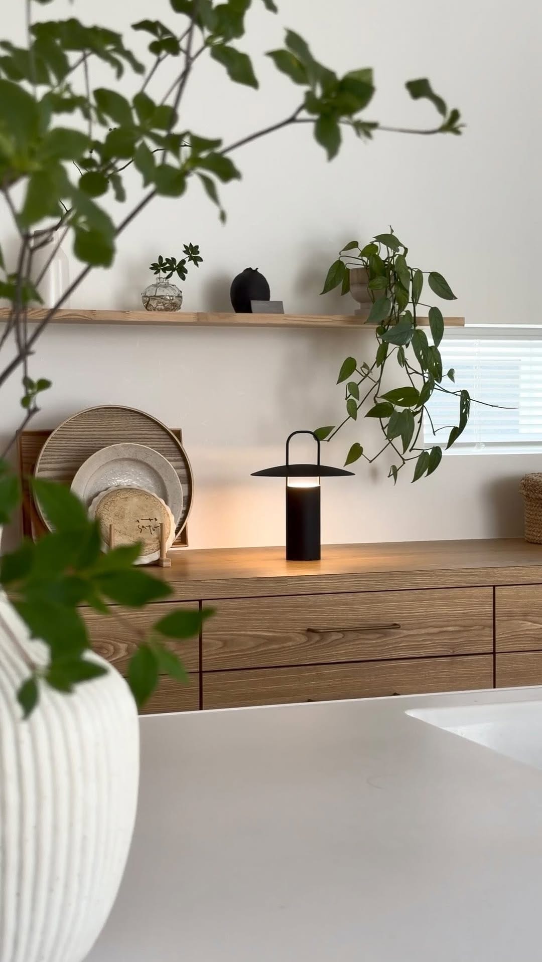Post 3 by 𝖺𝗒𝖺𝗇𝖺  − 植物と照明と暮らす− on Instagram (video)