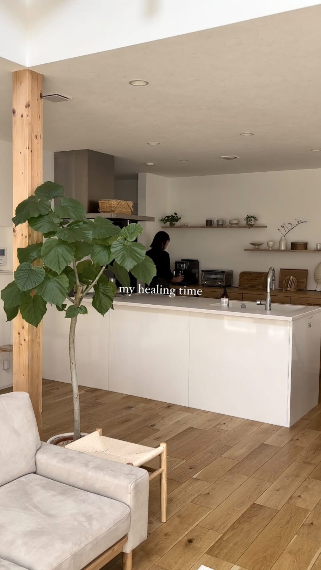 Post 8 by 𝖺𝗒𝖺𝗇𝖺  − 植物と照明と暮らす− on Instagram (video)