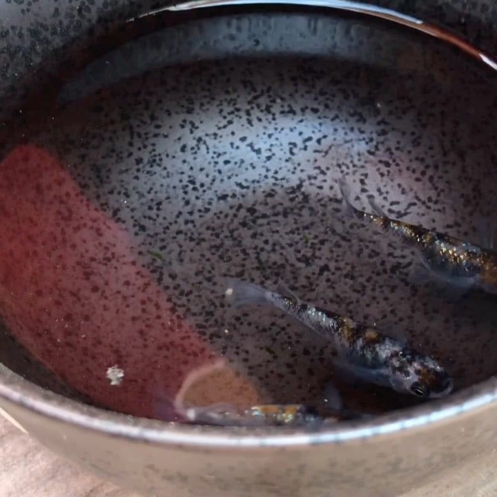 Post 7 by 播磨めだか（はりメダ） on Instagram (video)