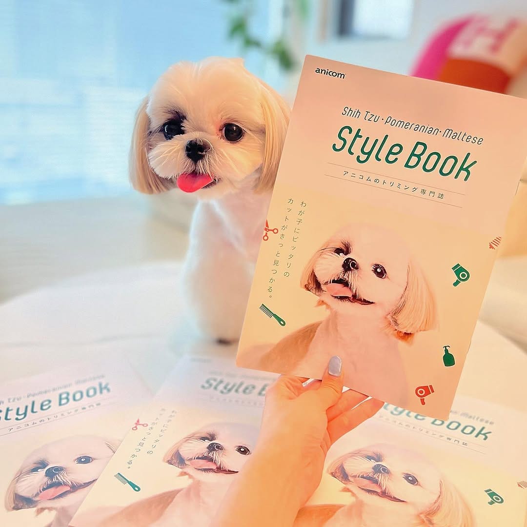 Post 10 by shihtzu🐶🇯🇵（ここね𝐚𝐧𝐝のえる） on Instagram (carousel)