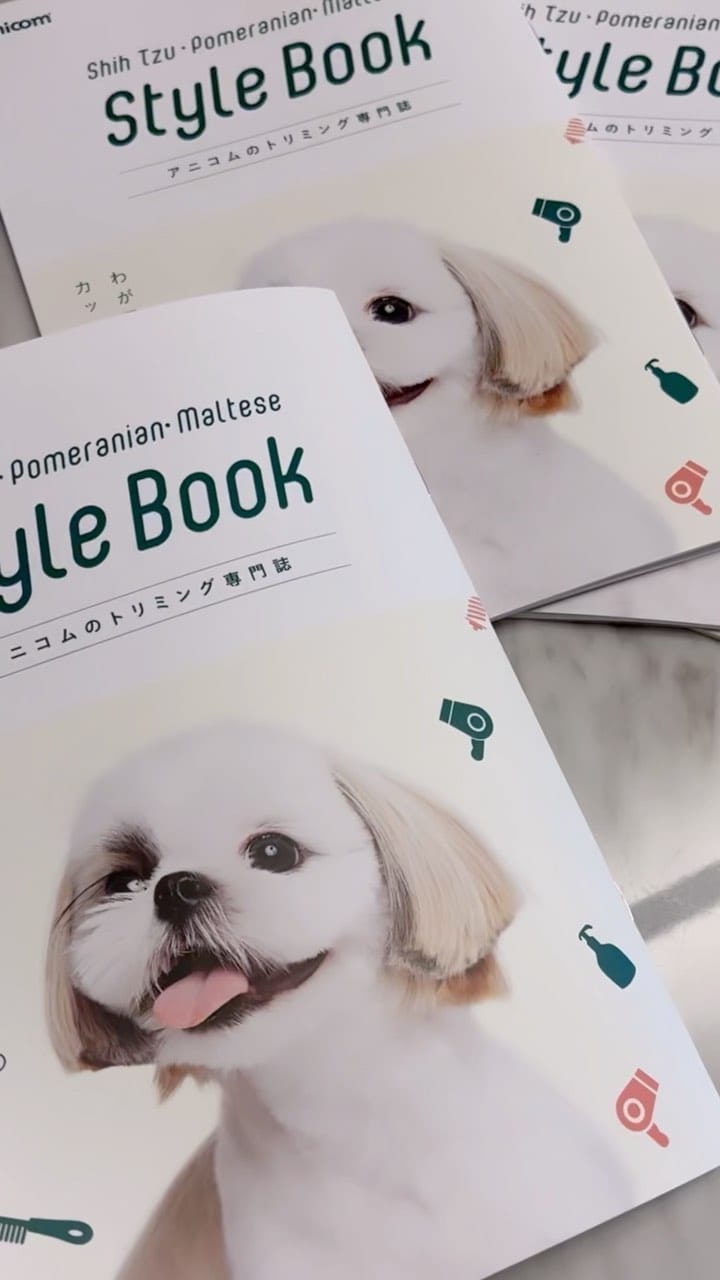 Post 9 by shihtzu🐶🇯🇵（ここね𝐚𝐧𝐝のえる） on Instagram (video)