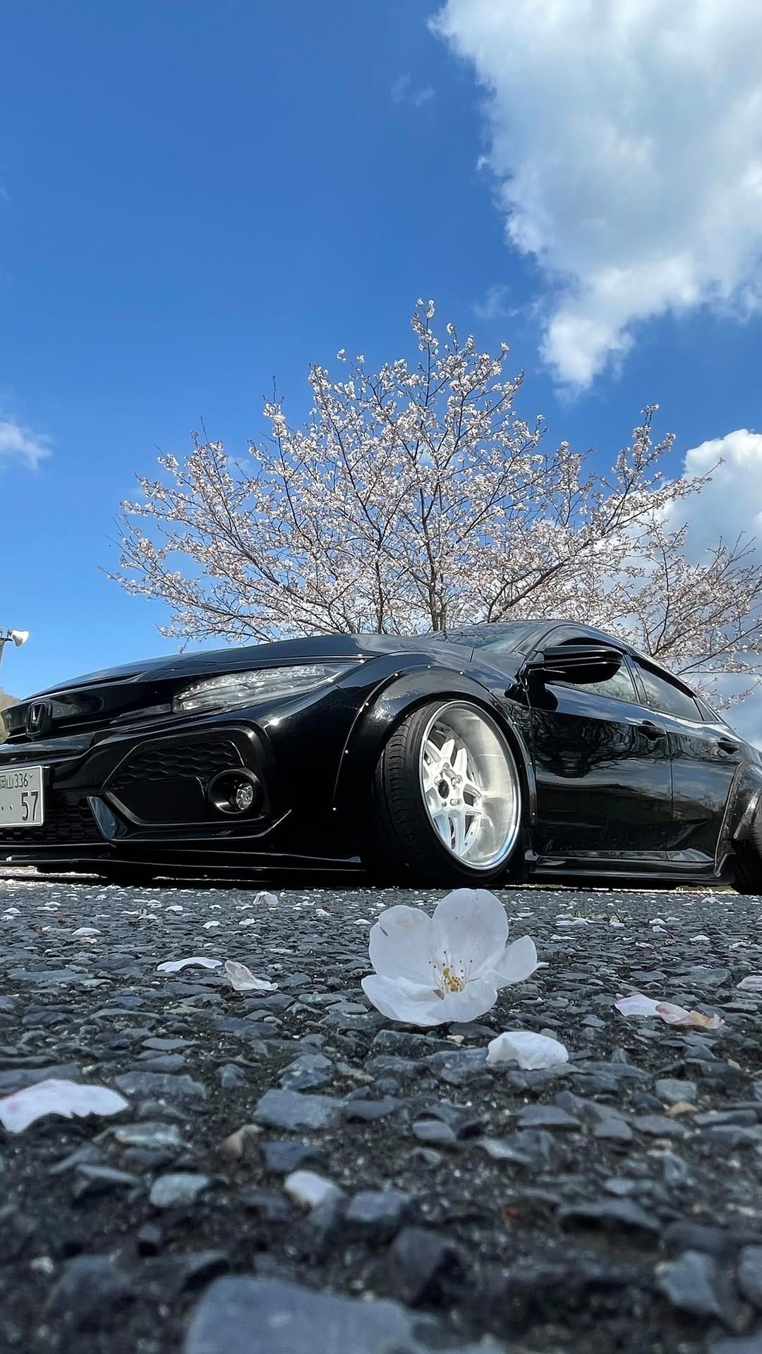 Post 8 by IWAO IKEDA on Instagram (video)
