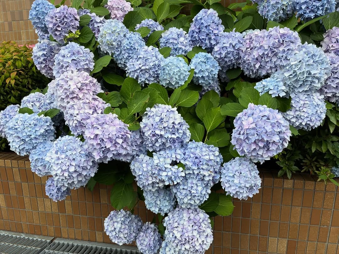 Post 6 by 田村 優季 on Instagram (carousel)