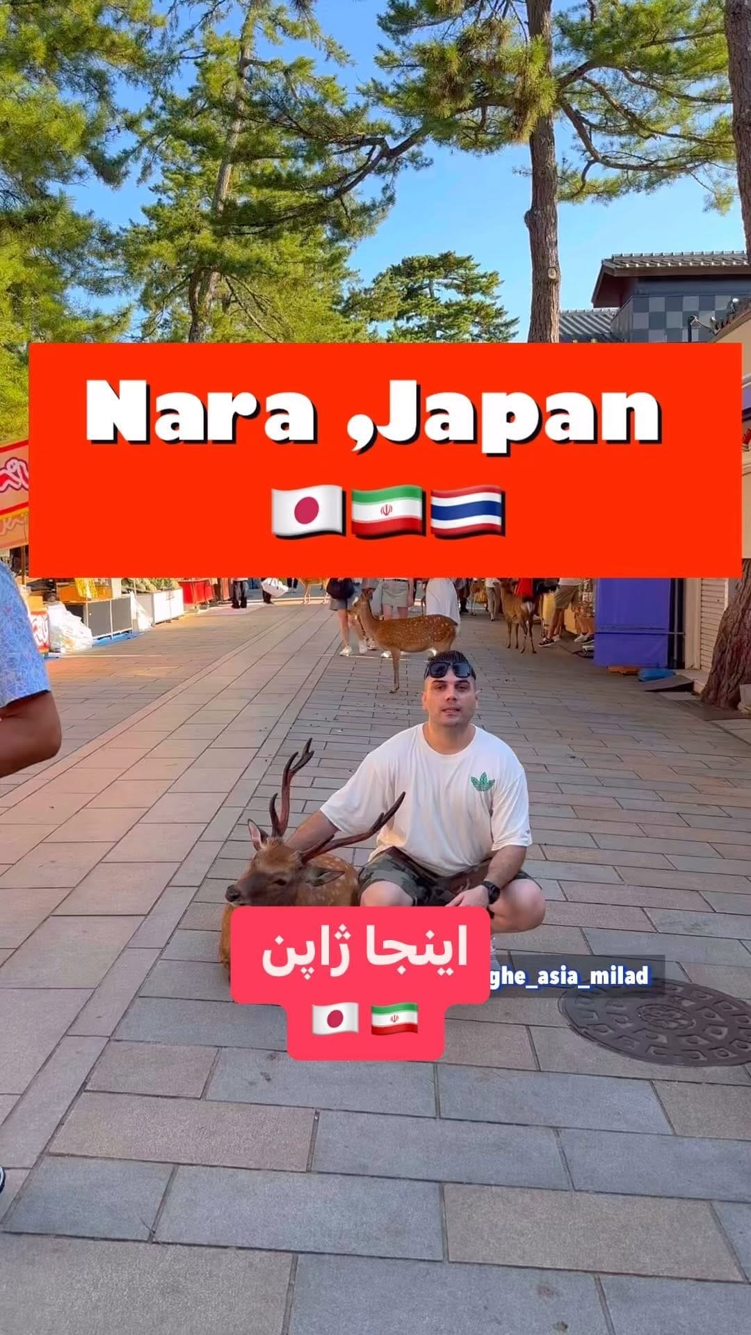 Post 8 by Milad SADEGHINIARAKI on Instagram (video)