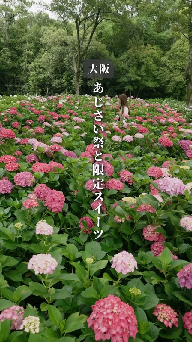 Post 7 by たかゆみフウフ｜旅に狂った大阪の夫婦 on Instagram (video)