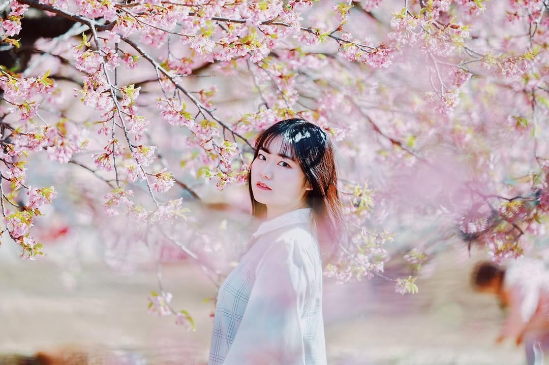 Post 10 by shima on Instagram (image)