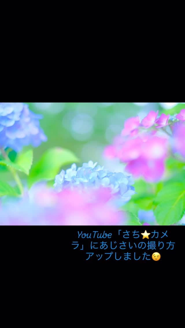 Post 8 by 写真家 むらいさち on Instagram (video)
