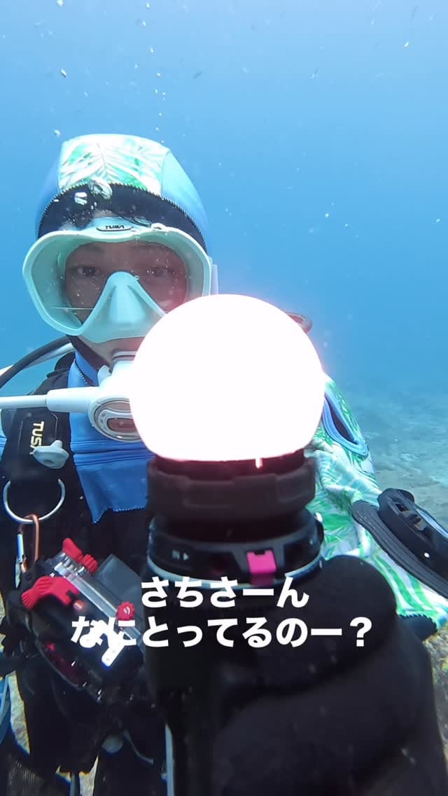 Post 4 by 写真家 むらいさち on Instagram (video)