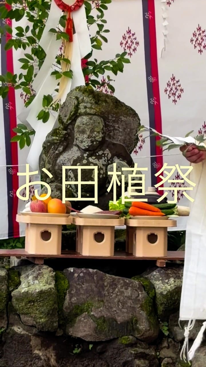 Post 5 by 米丸まき子 on Instagram (video)