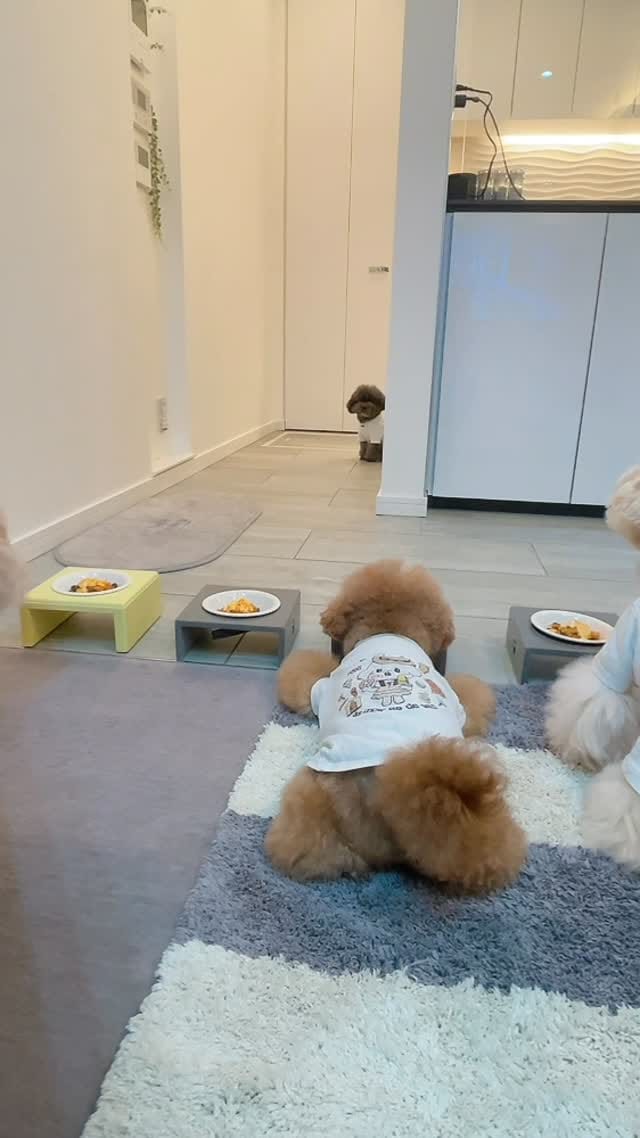 Post 6 by Sana∀ on Instagram (video)
