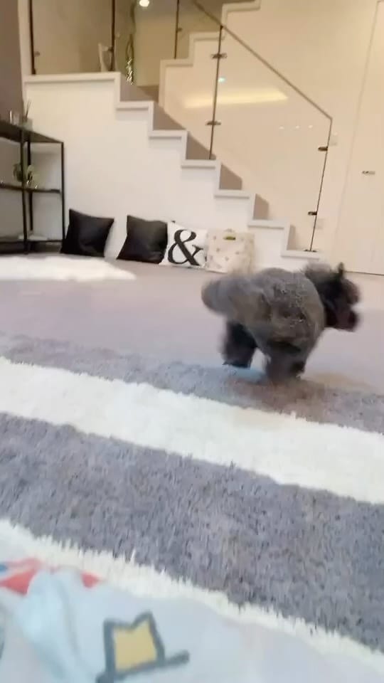 Post 9 by Sana∀ on Instagram (video)