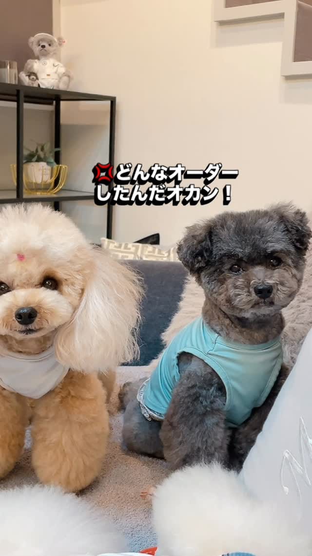 Post 4 by Sana∀ on Instagram (video)