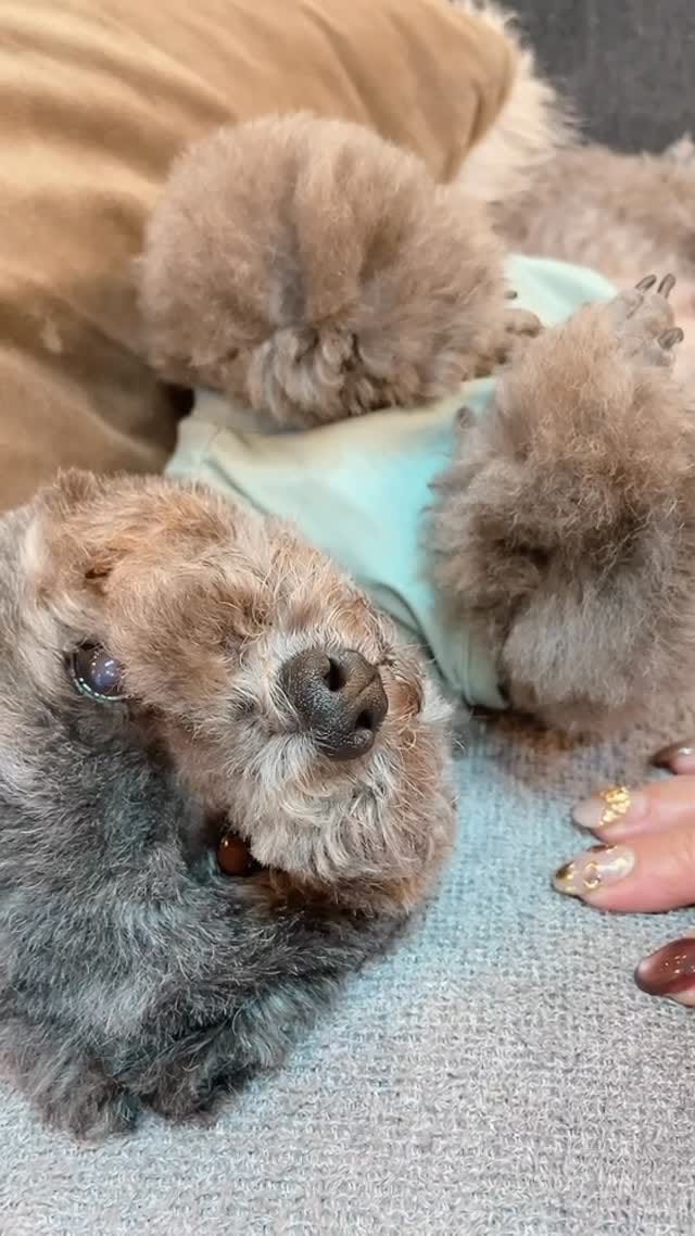 Post 3 by Sana∀ on Instagram (video)