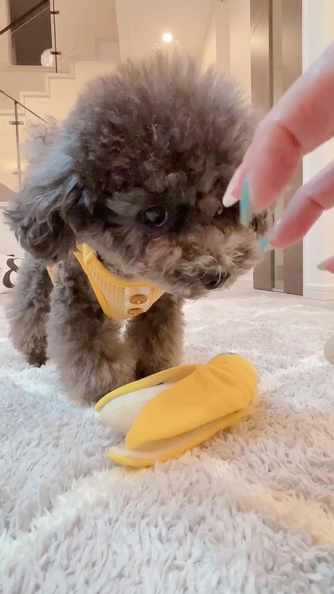 Post 10 by Sana∀ on Instagram (video)