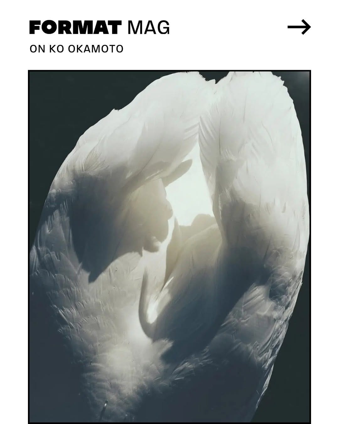 Post 6 by 岡本　晃｜Ko Okamoto on Instagram (carousel)