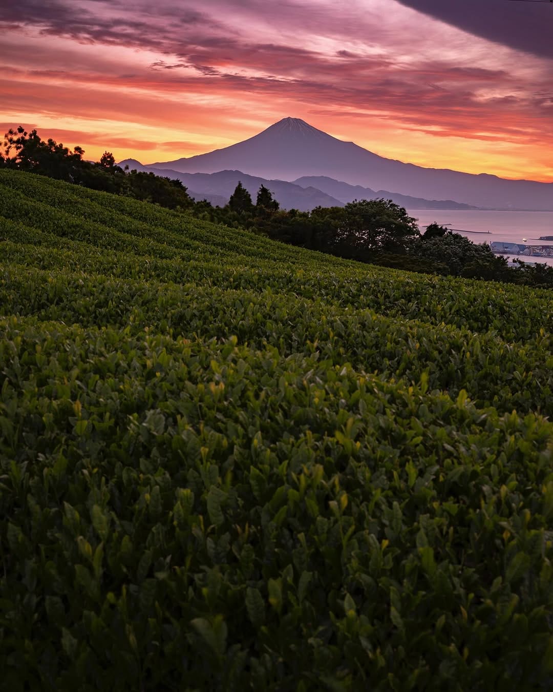 Post 9 by tsubasa hori 富士山写真家 on Instagram (image)