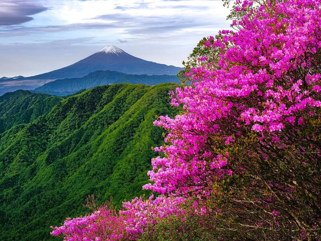 Post 6 by tsubasa hori 富士山写真家 on Instagram (image)