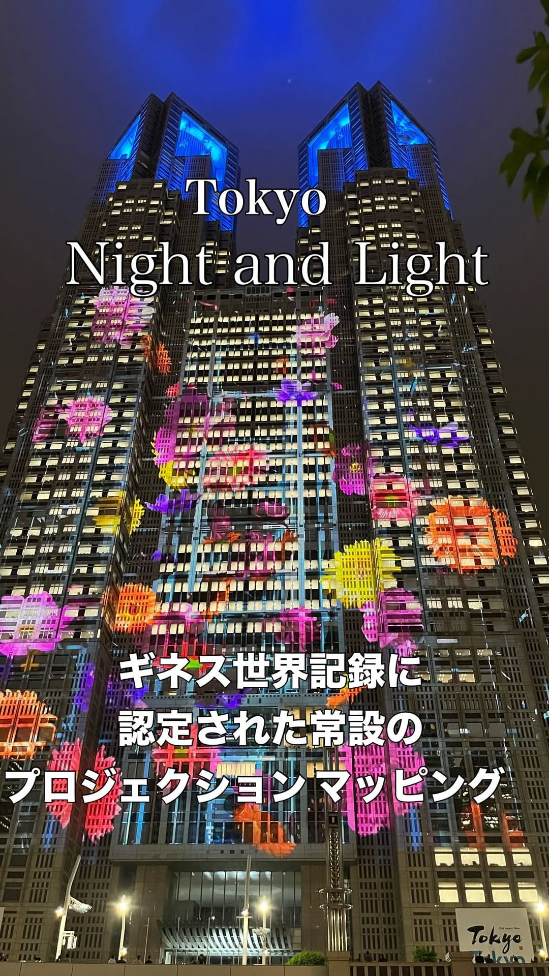 Post 7 by Hiroko Morita/花・遊・旅・食・映 on Instagram (video)